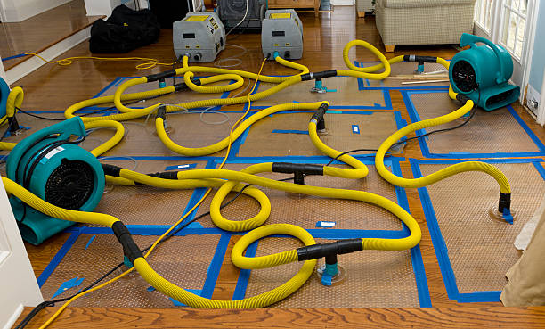 Professional Water Damage Repair technician working in Lee, ME